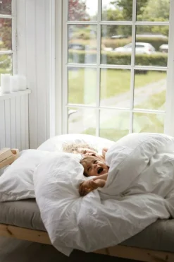 Grab Bäddsoffa Med Madrass, Klarlackad / Beige