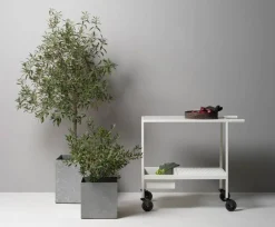 Juno cart, Vit