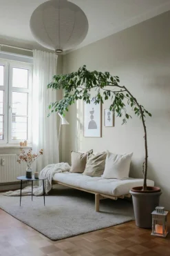 Pace Dagbädd Med Madrass, Klarlackad / Natural
