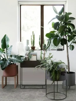 Plant Box Blomlåda 60x65 cm, Svart