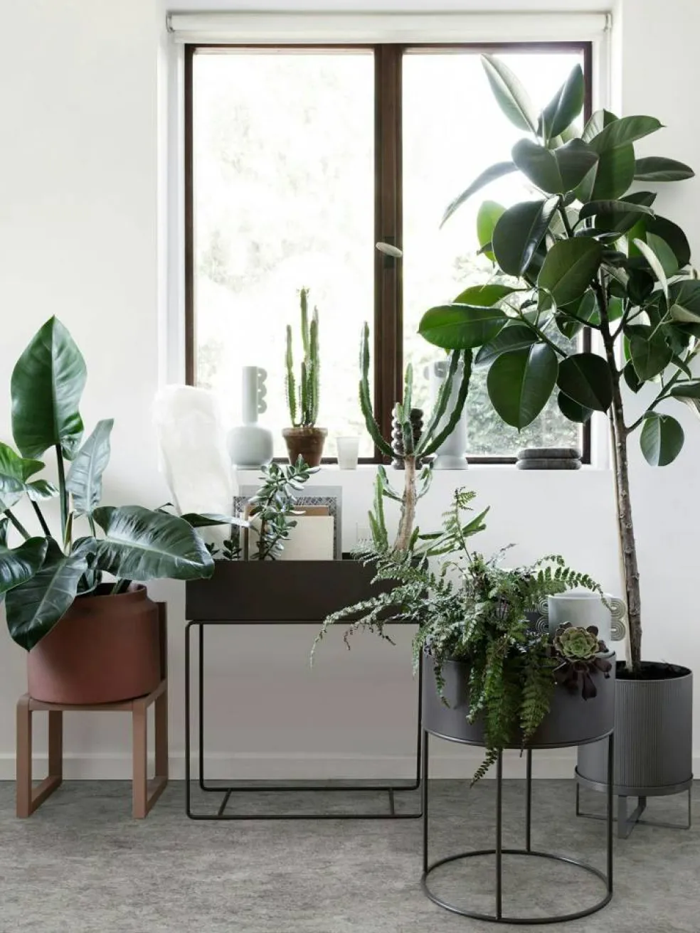 Plant Box Blomlåda 60x65 cm, Svart